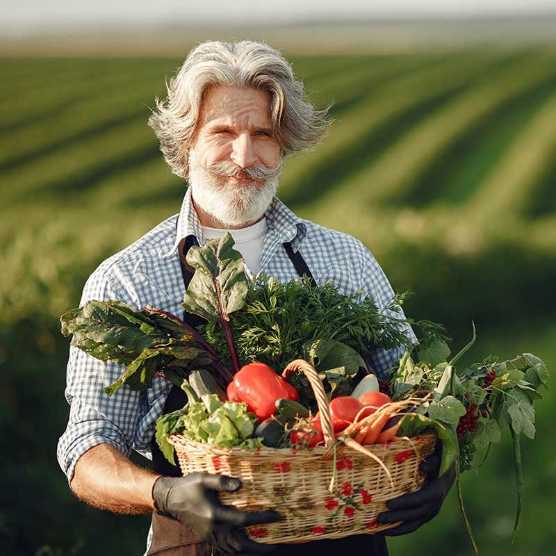 Organic farm